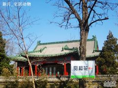 隔着围墙看国宾馆-钓鱼台国宾馆
