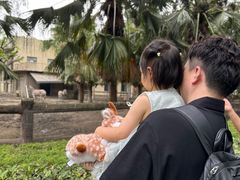 -成都动物园