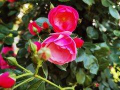 -广富林郊野公园