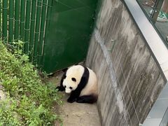 -沈阳森林动物园