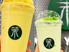 -茉酸奶(春熙路店)
