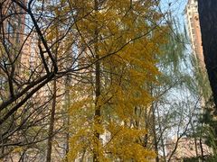 -千里马烧烤(南六东路店)