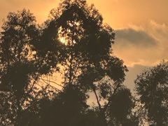 -白鹭湾湿地公园