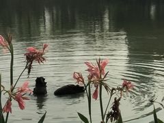 -厦门园林博览苑