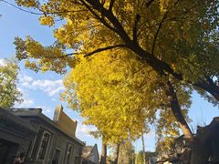 -北门涮肉·铜锅涮肉(南锣鼓巷店)