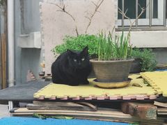 -二楼南书房
