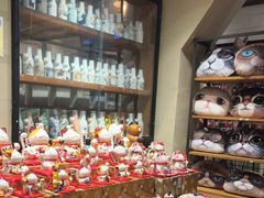 -猫咪博物馆(顶澳仔猫街店)