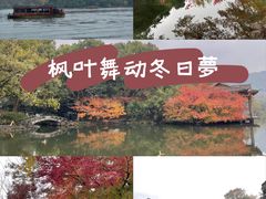 -西湖外事游船(花港观鱼码头)