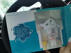 -美联众合动物医院·24h转诊中心