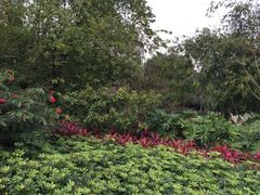 -晓港公园