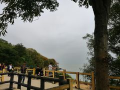 -巢湖姥山岛