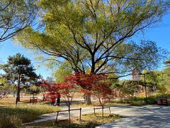 -莲花池公园