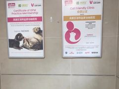 -谐和益家动物医院·免疫绝育·血液透析·宠保定点医院(高新伊藤分院)