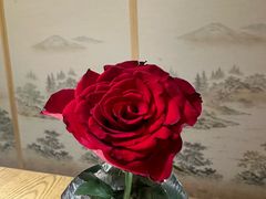 -江户家·日本料理·铁板烧(汉江东路店)