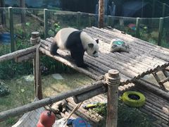 -大连森林动物园