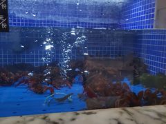 -香山湖渔家大院