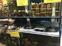 -蚝专家(北滘店)
