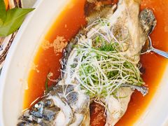 -大中华希尔顿酒店·兰亭潮中餐厅·粤菜