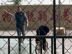 -东方熊牧场