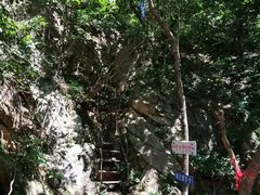 -大连天门山国家森林公园