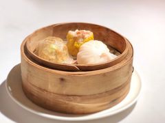 -新同乐鱼翅酒家(美丽华店)