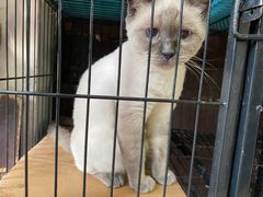 -苏州人家(锦溪镇店)