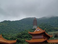 -深圳仙湖植物园