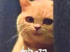 -万达广场(济南魏家庄店)