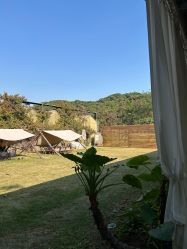 -阿菠萝小猪农场·萌宠乐园·亲子游·研学