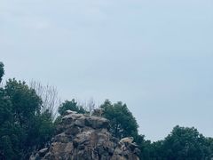 -合肥野生动物园