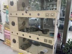 -宠宠动物医院(金鸡岭街店)