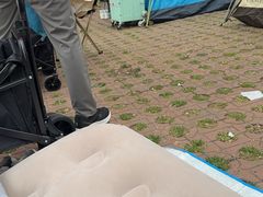 -黑龙江省森林植物园