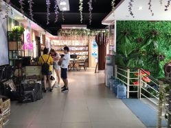 -韩慕婚纱摄影(九亭店)