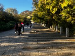 -府君山公园