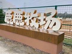 -盈香心动乐园