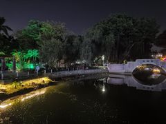 -金砂公园