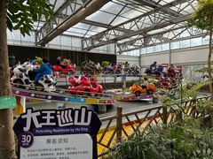 -南宫五洲植物乐园