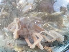 -前王院•巧克力海鲜市集餐厅(万平口店)