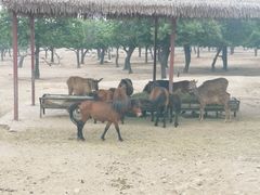 -西安秦岭野生动物园