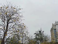 -洲头咀公园