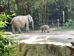 -广州长隆野生动物世界