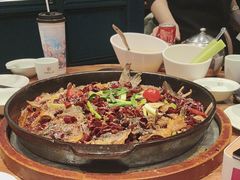 -老板恋上鱼(振华商厦店)