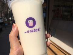 -一只酸奶牛(奎星楼店)
