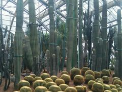-南山植物园