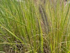 -汉长安城未央宫国家考古遗址公园