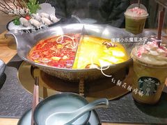 红颜花胶鸡锅-湊湊火锅·茶憩(石家庄万象城店)