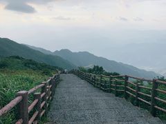 -大围山国家森林公园