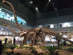 -自贡恐龙博物馆