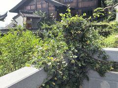 -汤山公园