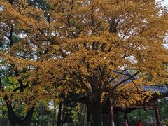 -汇龙潭